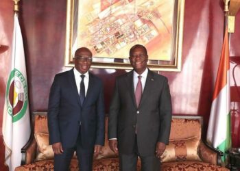 Lanciné Diaby présente les requêtes de la diaspora ivoirienne au chef de l’Etat