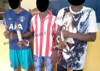 Williamsville: 3 mineurs interpellés pour tentative d&rsquo;agression à l&rsquo;arme blanche, les faits