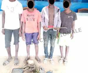 Abobo Belleville : interpellation de 04 adolescents, cambrioleurs de domiciles, les faits