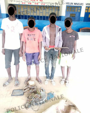 Abobo Belleville : interpellation de 04 adolescents, cambrioleurs de domiciles, les faits