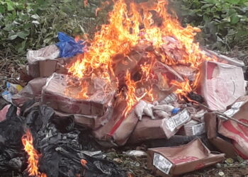 Aboisso : 70 cartons de poulets avariés saisis et incinérés