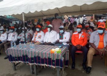 Campagne présidentielle 2020:  Les Grins mobilisent pour Ouattara