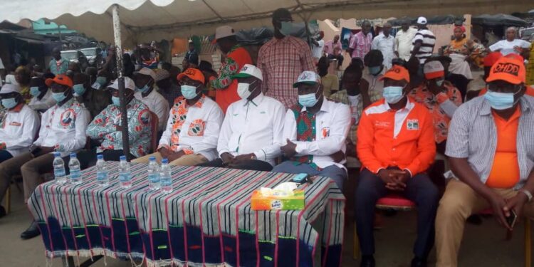 Campagne présidentielle 2020:  Les Grins mobilisent pour Ouattara