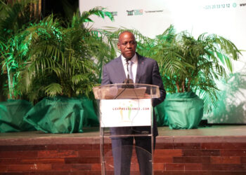 Organisation d&rsquo;élections paisibles en Côte d&rsquo;Ivoire: le Gouvernement donne des garanties à l’UE