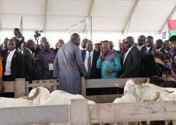 Production animale et halieutique : Bilan encourageant pour le secteur