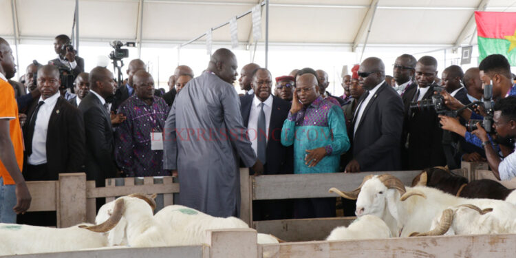 Production animale et halieutique : Bilan encourageant pour le secteur