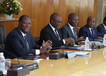 Côte d’Ivoire : Le prix du kilogramme de coton en hausse de 35 FCFA