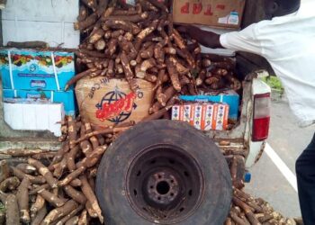 Abidjan : des médicaments prohibés disséminés dans un véhicule transportant du manioc saisis