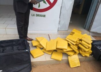 Gagnoa : une sexagénaire et une quadragénaire vendeuses de drogues interpellées