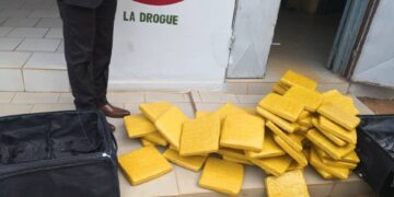 Gagnoa : une sexagénaire et une quadragénaire vendeuses de drogues interpellées