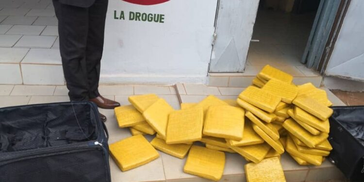 Gagnoa : une sexagénaire et une quadragénaire vendeuses de drogues interpellées