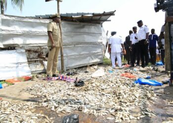 Côte d’Ivoire/Poissons morts à Adjahui-Coubé: 07 suspects interpellés, les résultats de l’enquête connus