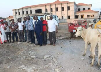 Fête de la tabaski: le maire Cissé Bacongo offre un bœuf à la mairie de Koumassi