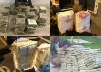 La police saisit 120 blocs de cannabis destinés à ravitailler le District d’Abidjan