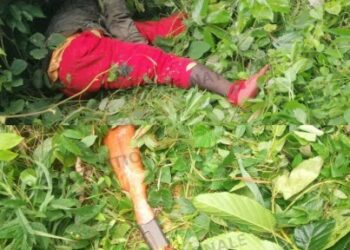 Axe Duékoué-Bangolo: Un coupeur de route abattu par la police