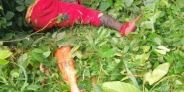 Axe Duékoué-Bangolo: Un coupeur de route abattu par la police
