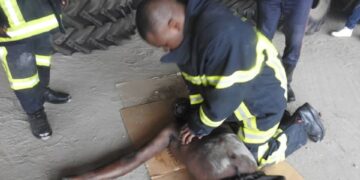 Drame à Treichville: 2 morts dans un incendie