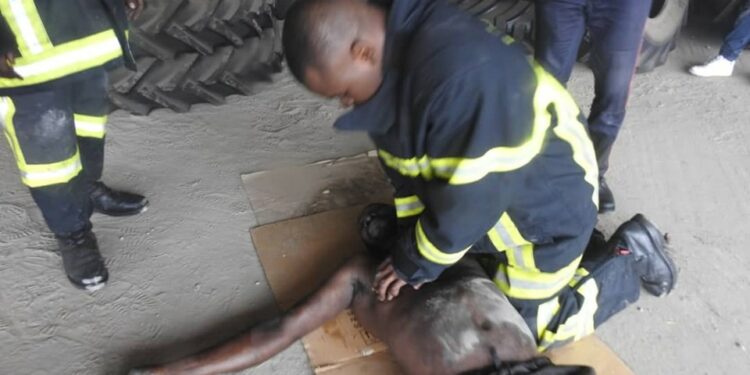 Drame à Treichville: 2 morts dans un incendie