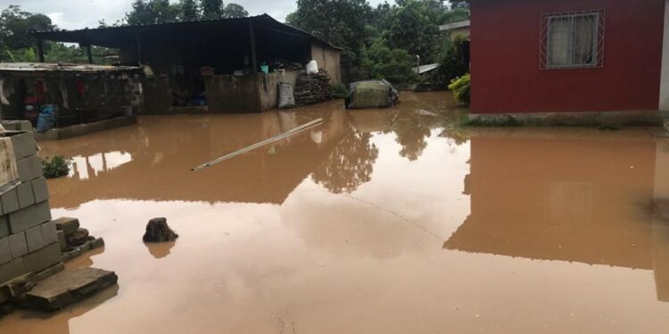 Pluies à Abidjan: des morts à Audouin Santé et Abobo