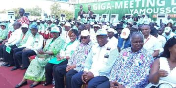 Guéguerre entre les pro-Gbagbo: Fpi : le serpent à trois têtes ?