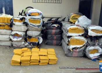 Côte d’Ivoire : 3.110 kilos de cannabis saisis par la Gendarmerie Nationale depuis le début de l’année