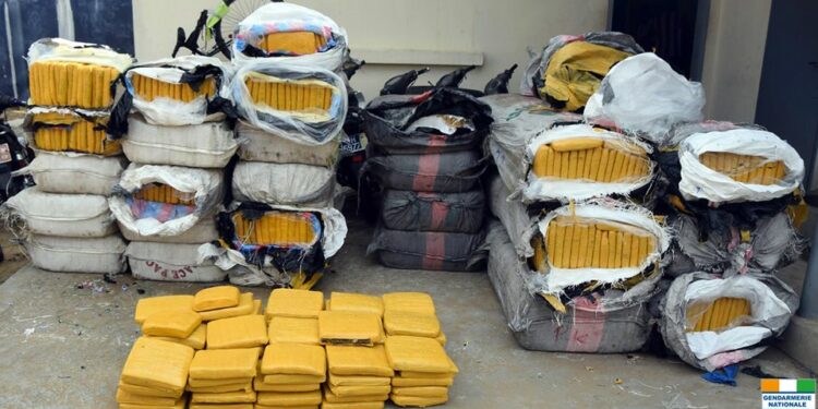 Côte d’Ivoire : 3.110 kilos de cannabis saisis par la Gendarmerie Nationale depuis le début de l’année