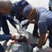 Bouaké:Partis pour l’Hommage de l’UE-RHDP à feu AGC, 17 enseignants blessés dans un accident