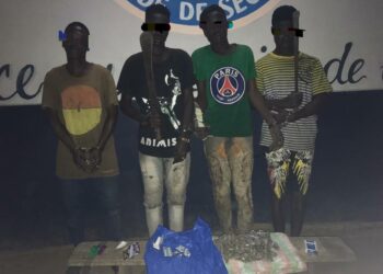 « Derrière Rail » Abobo : 04 chefs de gangs interpellés, des boules de cannabis saisies par la gendarmerie