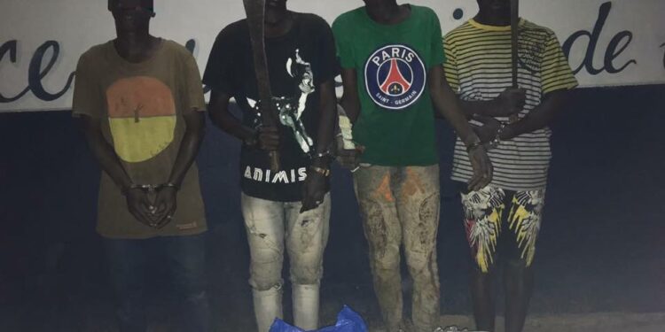 « Derrière Rail » Abobo : 04 chefs de gangs interpellés, des boules de cannabis saisies par la gendarmerie
