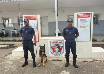 Côte d’Ivoire : le Groupement des sapeurs pompiers met en place une unité cynotechnique