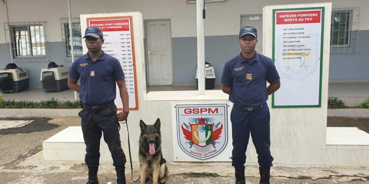 Côte d’Ivoire : le Groupement des sapeurs pompiers met en place une unité cynotechnique