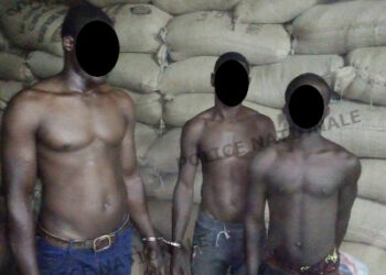 Côte d’Ivoire/Bonon : 3 braqueurs de convoi de café- cacao interpellés