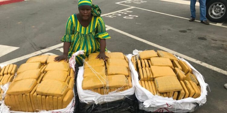 Côte d’Ivoire : Une dame appréhendée avec 320 Kg de cannabis à Abobo.