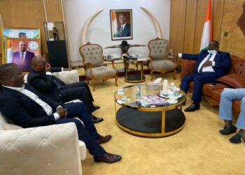 Accusation contre le ministre d’Etat Hamed Bakayoko : le ministre Adjoumani dénonce un « attentat politique »