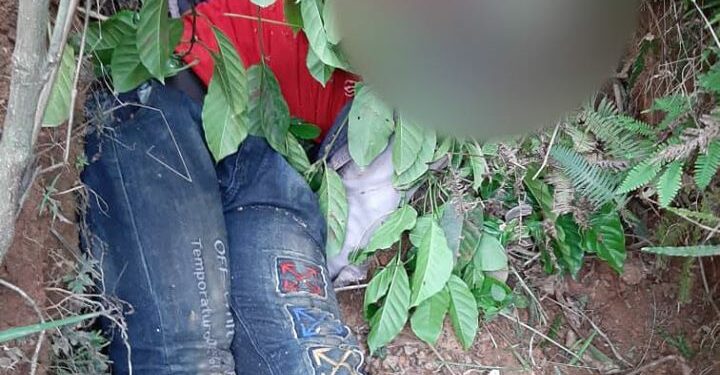 Côte d’Ivoire: Un coupeur de route abattu à Blolequin