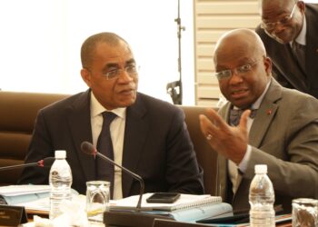 Côte d’Ivoire/Covid 19: le Ministère de l’Economie et des Finances désigné pour gérer les dons reçus par le gouvernement,