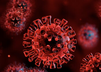 Covid-19 : Bilan, près de 25 000 morts dans le monde ce vendredi à midi