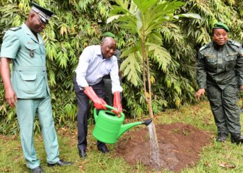 Côte d’Ivoire : le premier ministre promet la reconstitution du couvert forestier pour « protéger les générations futures »