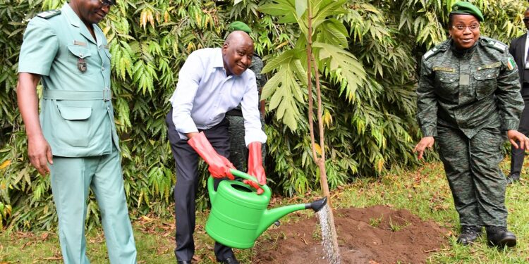 Côte d’Ivoire : le premier ministre promet la reconstitution du couvert forestier pour « protéger les générations futures »