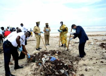Journée mondiale des océans : Joseph Séka Séka lance, à Assinie, un plan national de lutte contre les sargasses