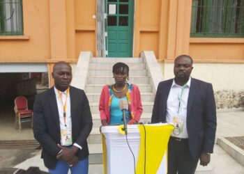 Déroulement de l’élection présidentielle /La mission d’observation de la Diaspora satisfaite