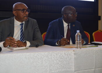 Financement de la transition vers le développement durable :Le gouvernement met à contribution le secteur privé