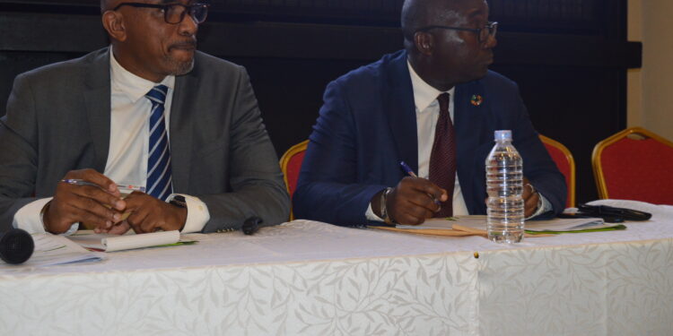 Financement de la transition vers le développement durable :Le gouvernement met à contribution le secteur privé