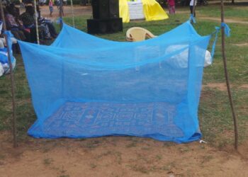 Santé: L’Allemagne offre 251.000 moustiquaires à la Côte d’Ivoire