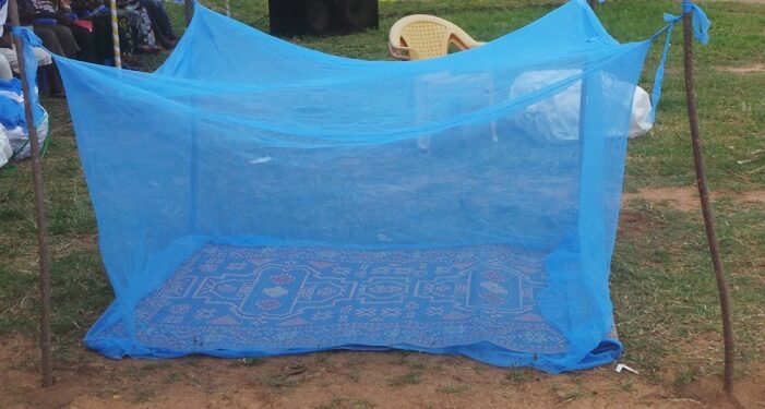 Santé: L’Allemagne offre 251.000 moustiquaires à la Côte d’Ivoire