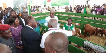 SARA 2019 : Le Président Ouattara donne le coup d’envoi de la mécanisation de l’agriculture ivoirienne