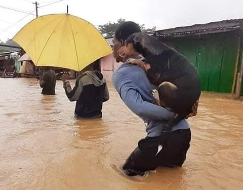 Un mort et 561 sinistrés dans les inondations d’Anyama (Bilan provisoire)