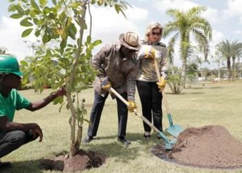 Opération « un jour, un million d&rsquo;arbres »: le président Ouattara et son épouse plantent des arbres dans les jardins de leur Résidence