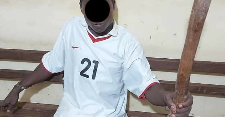 Issia : Un homme interpellé après avoir tué son frère à coup de Pilon, les faits