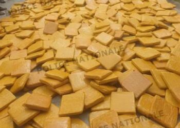 Côte d’Ivoire : plus de 500 kg de cannabis saisis à l’entrée d’Anyama, les faits